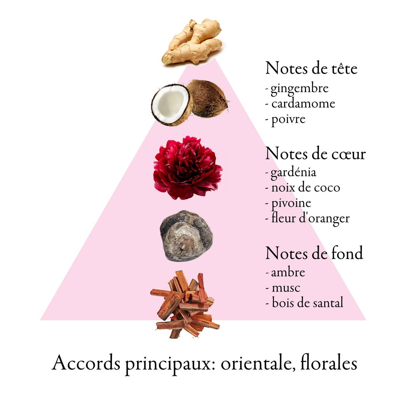 FAMILLE GRASSE PARFUMS – Großhandel Parfüm/Eau de Toilette – TENDER FLIGHT Eau de Parfum für Damen 60 ml3