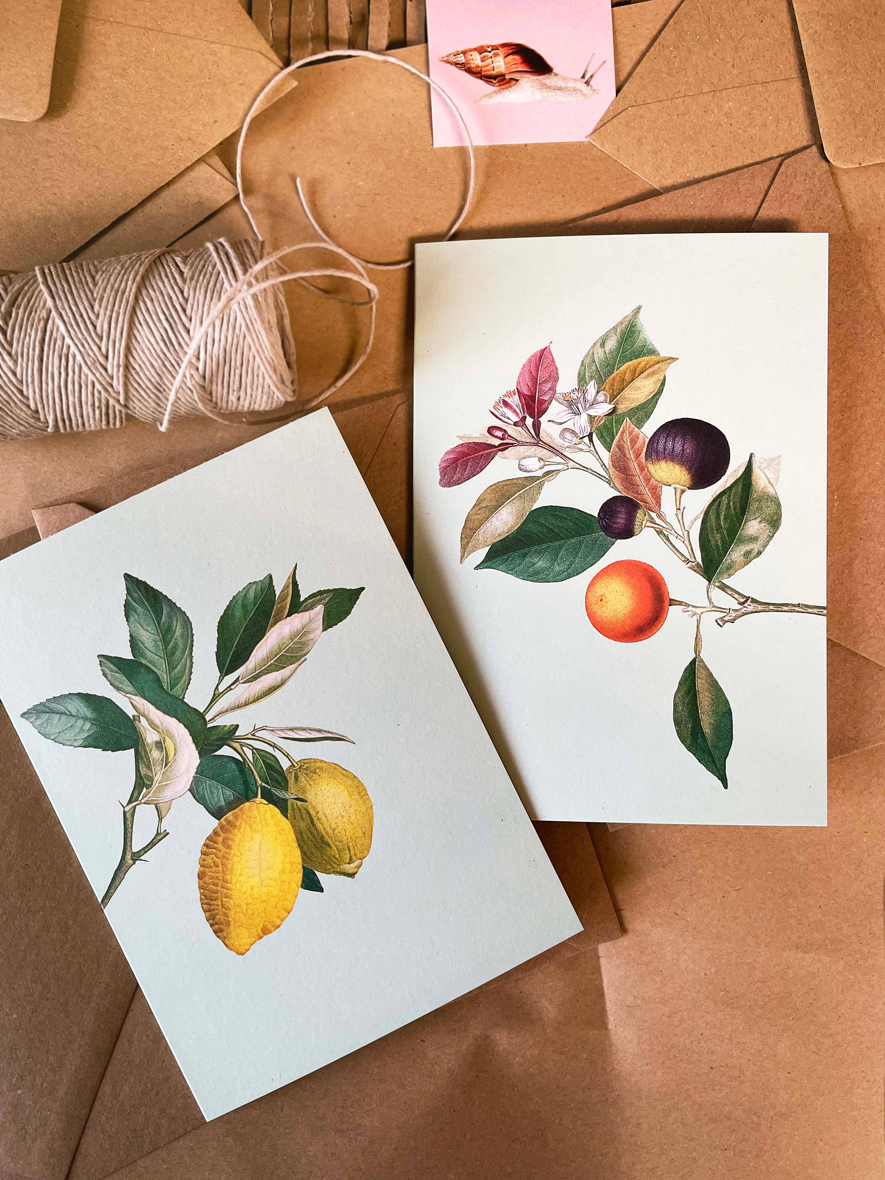 30x40 - Wholesale Everyday Greeting Card - Hangover Greeting Card1