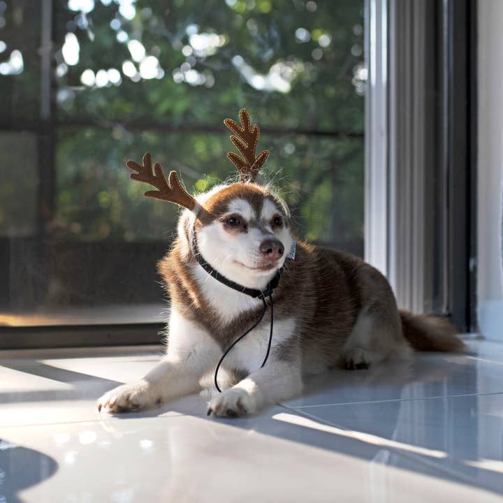 Midlee Designs - Wholesale Pet Costume - Dog - Midlee Furry Antlers Headband Halloween Dog Costume