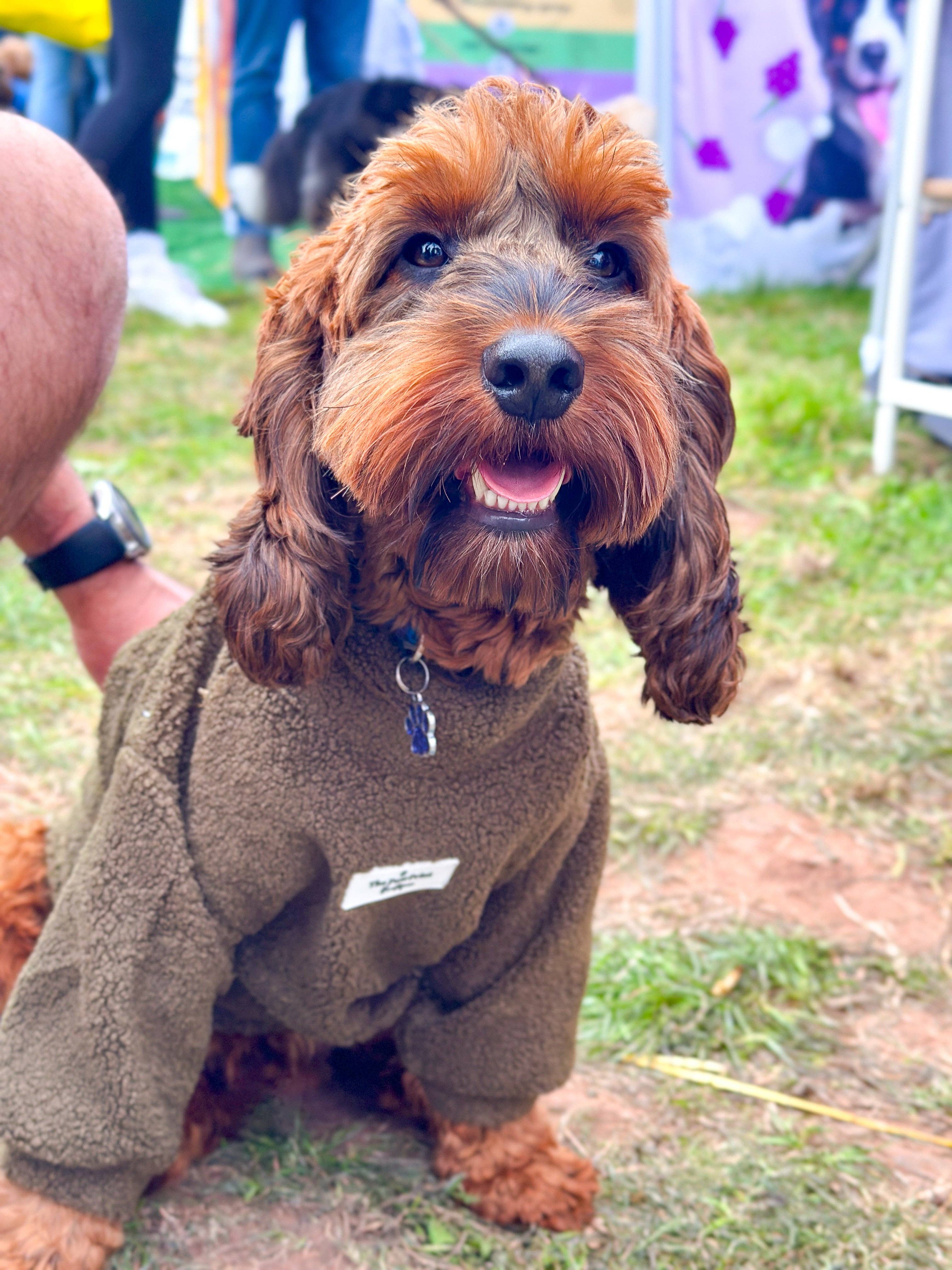 The Paw Print Boutique – wholesale Pet jumper – Dog – Teddy Fleece - Khaki7