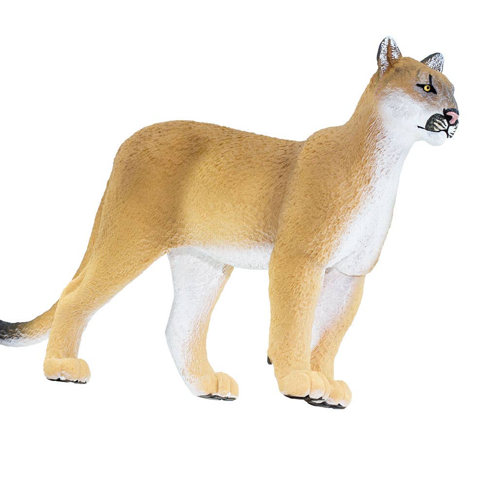 Safari Ltd. - Wholesale Figurine Toy - Kids - Florida Panther - 1001055