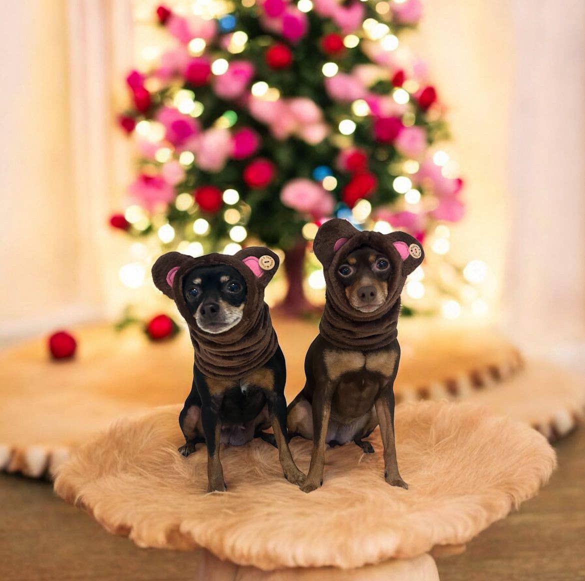 Puppies & Pom Poms - Wholesale Pet Costume - Dog - Dog Snood / Buff / Hat - Brown Teddy Bear1