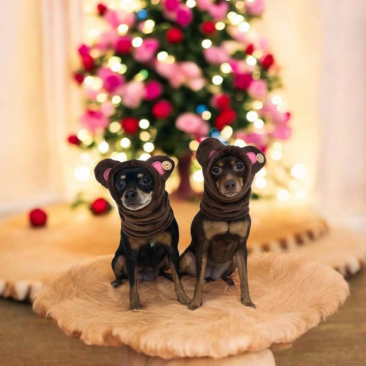 Puppies & Pom Poms - Wholesale Pet Costume - Dog - Dog Snood / Buff / Hat - Brown Teddy Bear1