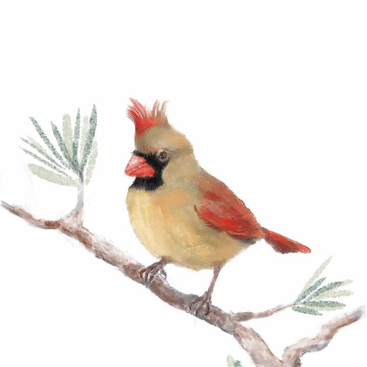 MerikaArt - Wholesale Art Print - Female Cardinal Art Print – Elegant Bird Decor for Nature Lovers1