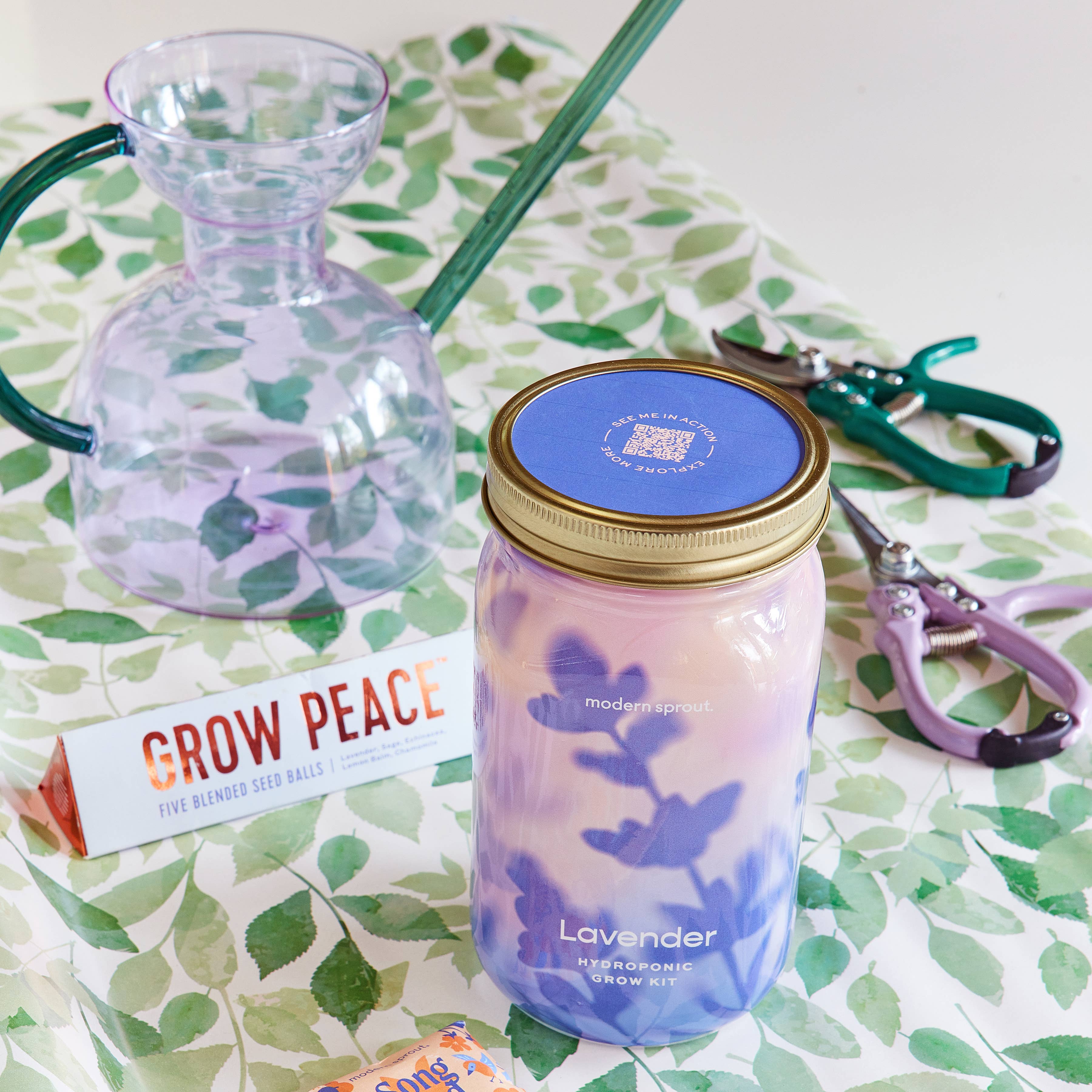 Modern Sprout - Wholesale Plant Pot - Herb Garden Jar13