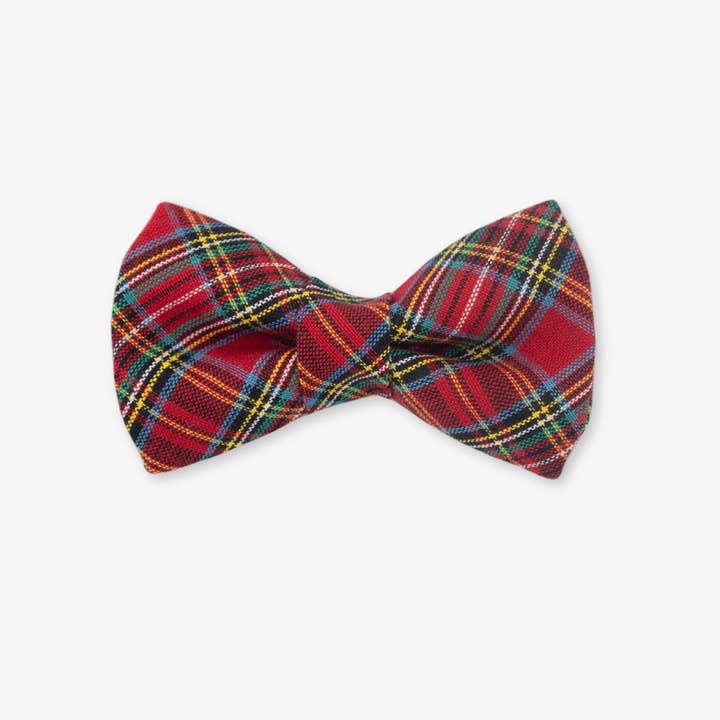 Cider Dog Bow Tie for wholesale by The Rover Boutique