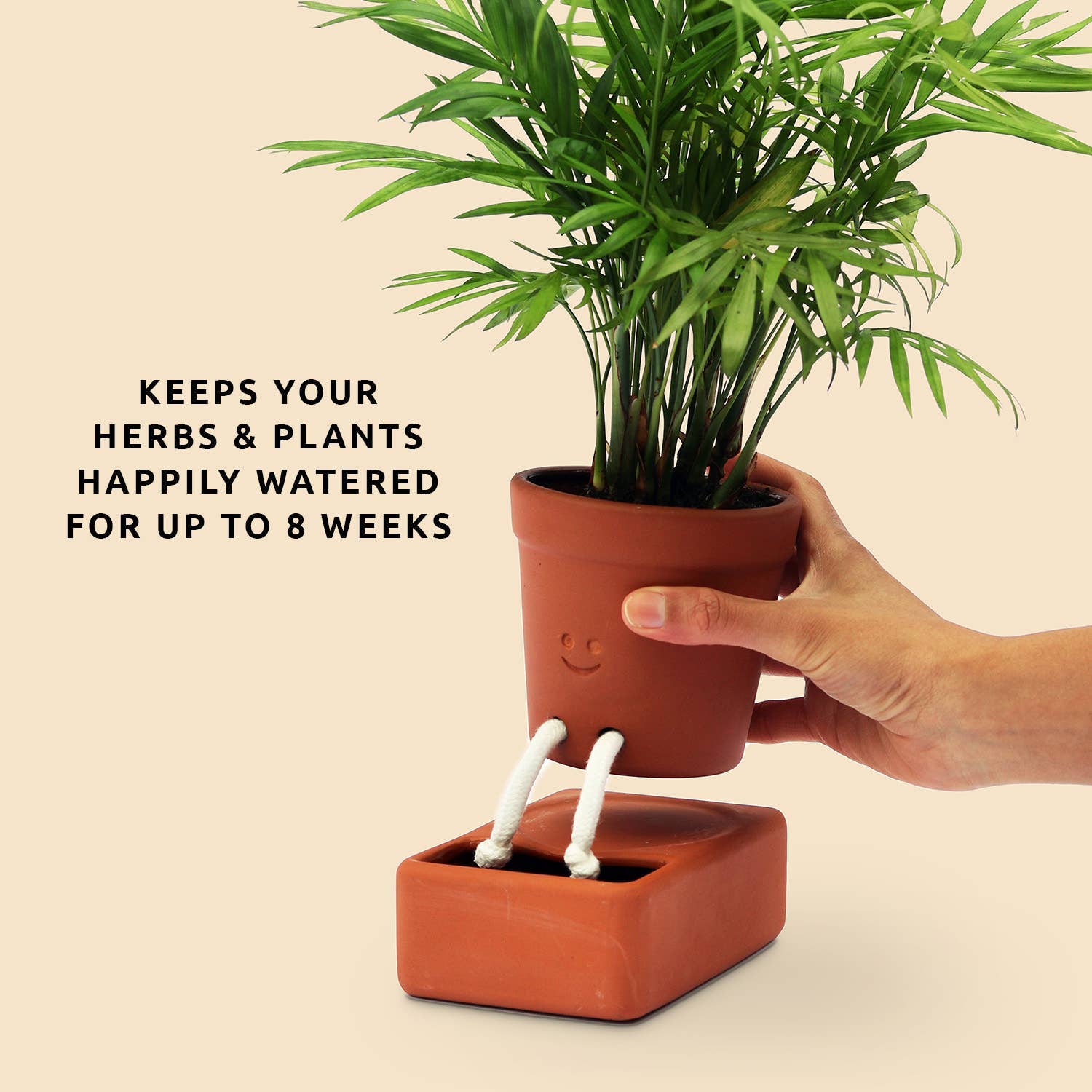 Pikkii USA - Wholesale Plant Pot - Self Care Planter | Self Watering Plant Pot | Home Accents1