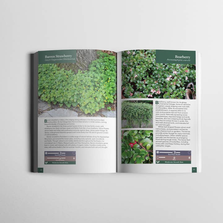 Wild Seed Project - Wholesale Book - Adult - Native Ground Covers for Northeast Landscapes