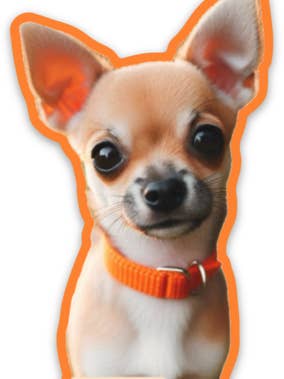 Chihuahua - Sticker for wholesale by Paws Of Joy