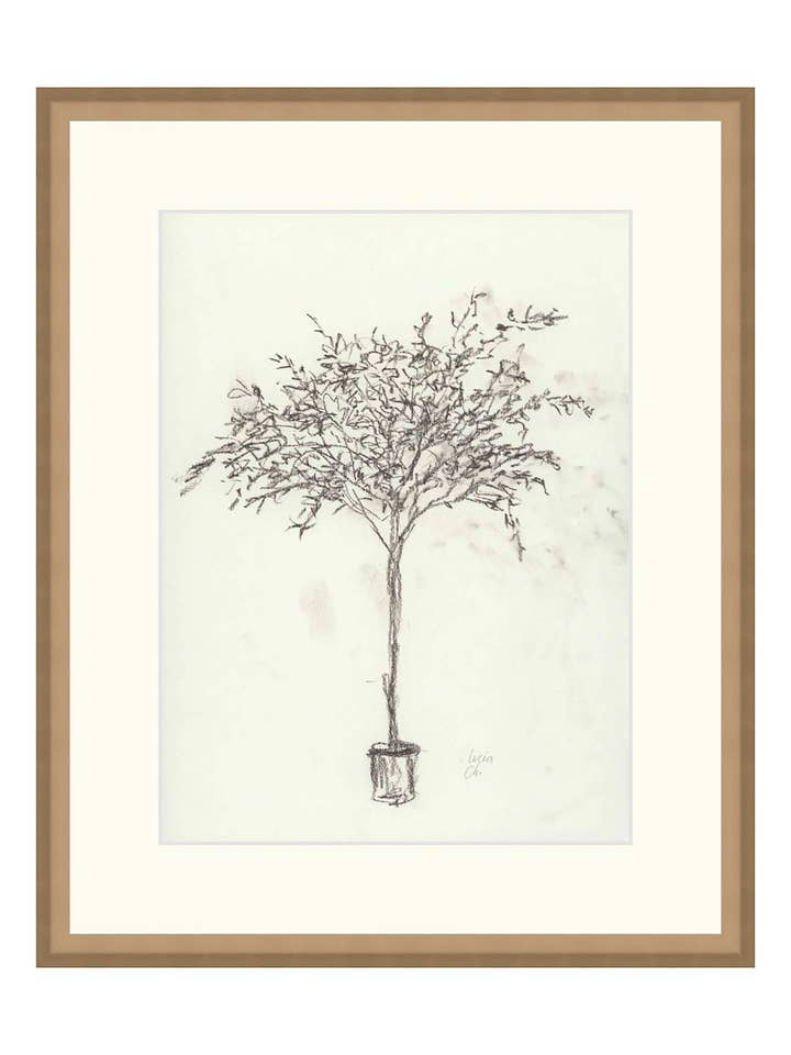 Boceto de Olivo II para venta al por mayor de Splendus