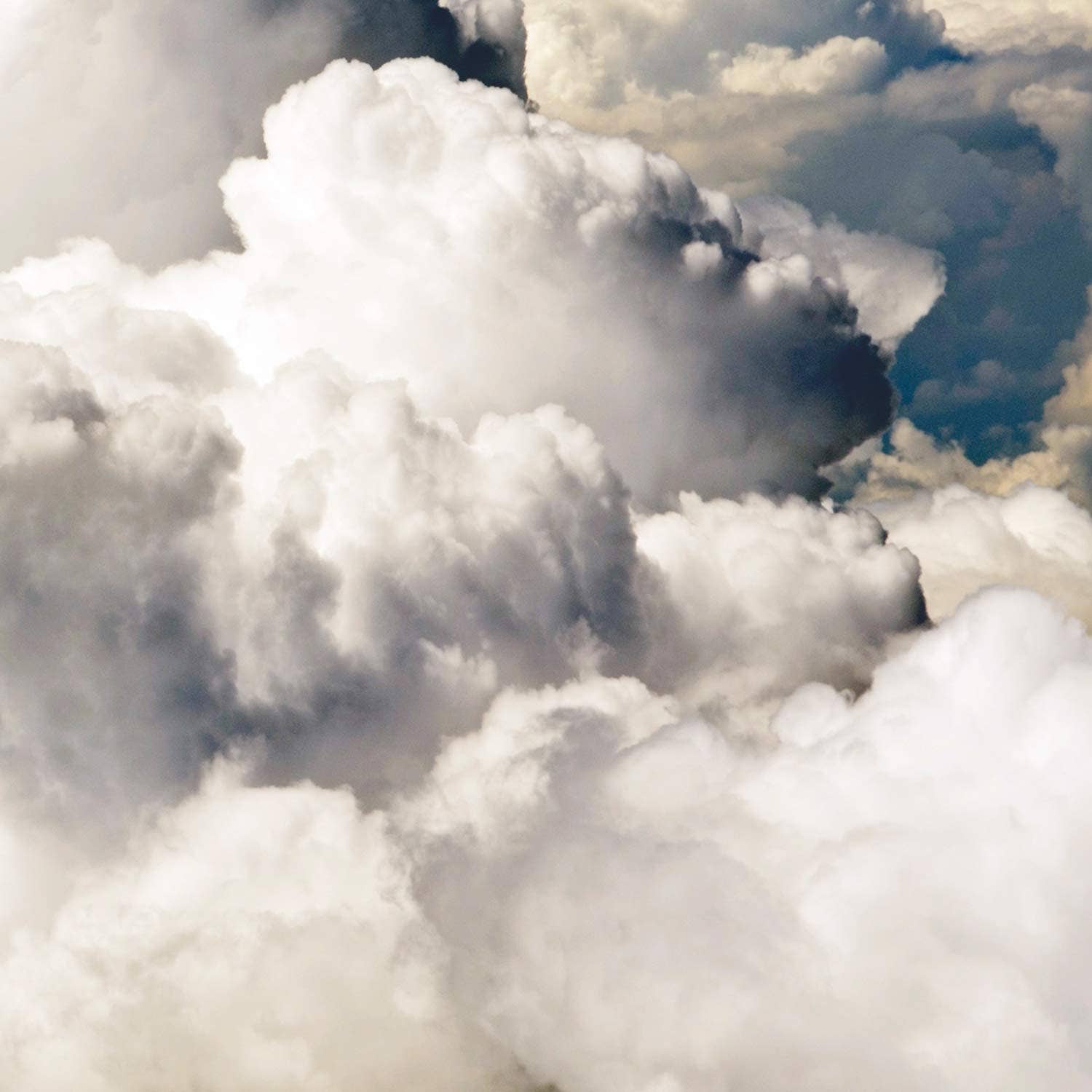 jubel naturals - Wholesale Facial Moisturizer - Super Sensitive Moisturizer1