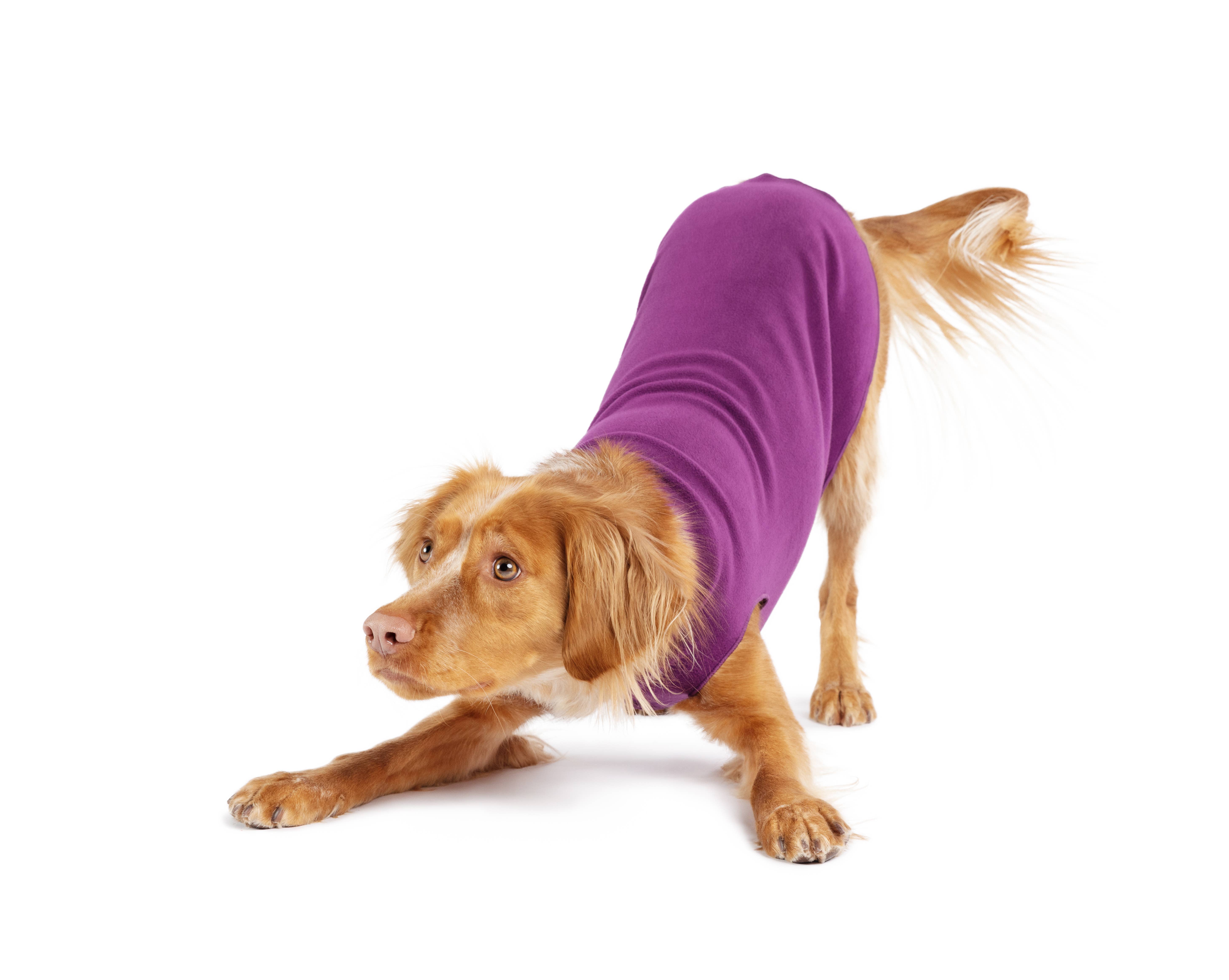 regalo para perro tejido de punto fiesta PETCARE Jersey para perro de Navidad con cuello alto para cachorros de perro diseño navideño