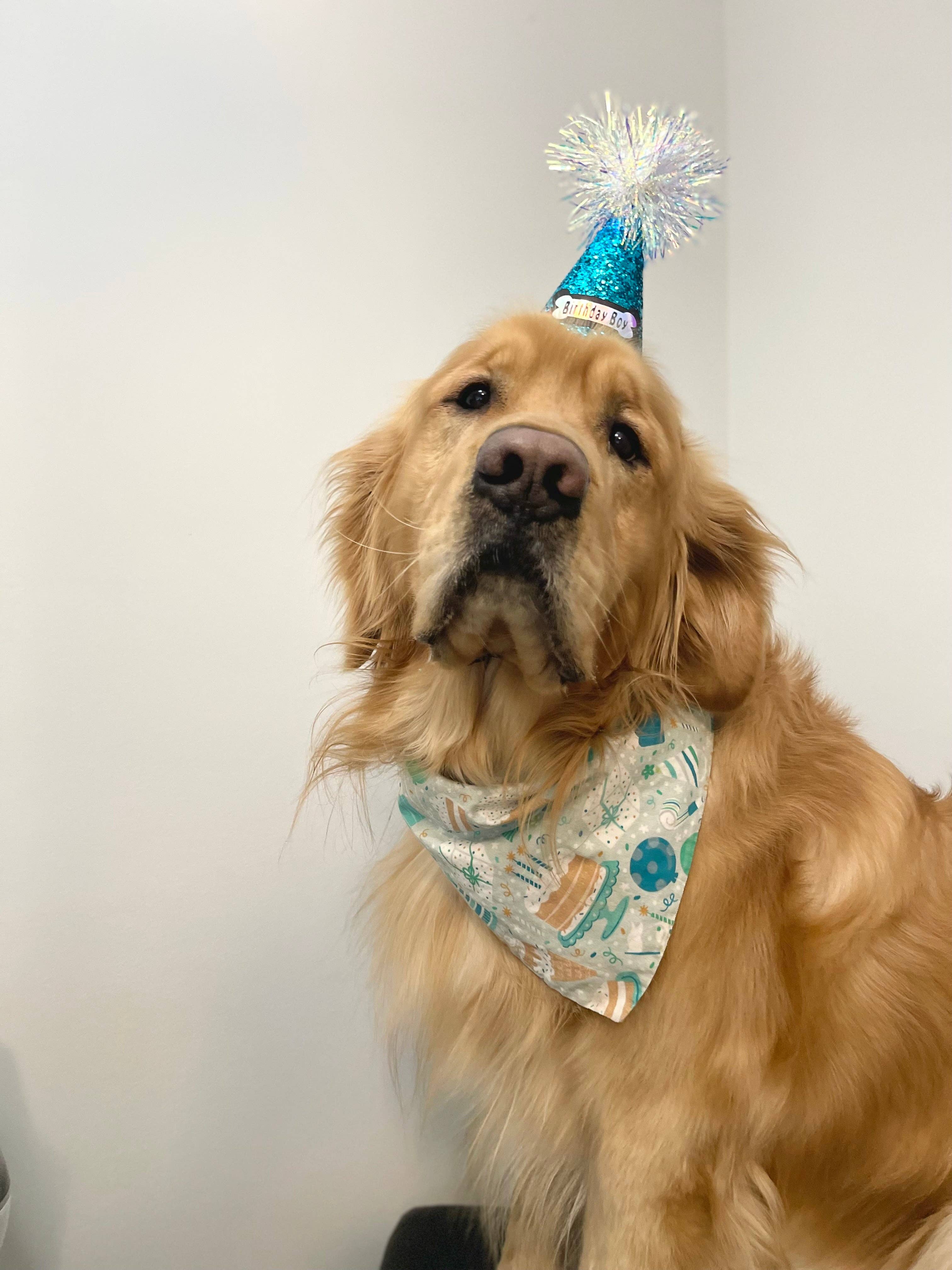 Mother Puppers Co. - Vente Bandana – chien - Bandana d'anniversaire bleu2