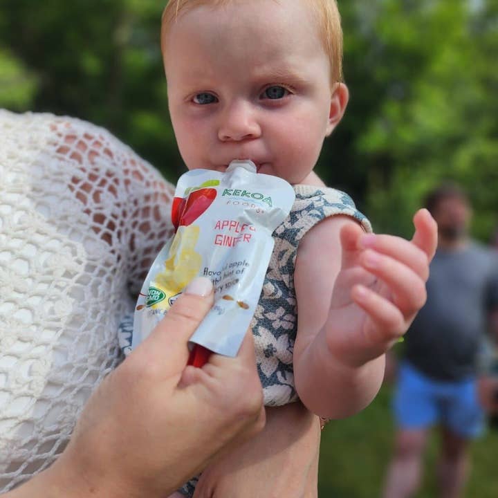 Kekoa Foods - Wholesale Baby Food - Apple & Ginger Squeeze Pouch, 100% Organic Vegetarian Baby Food Purée7