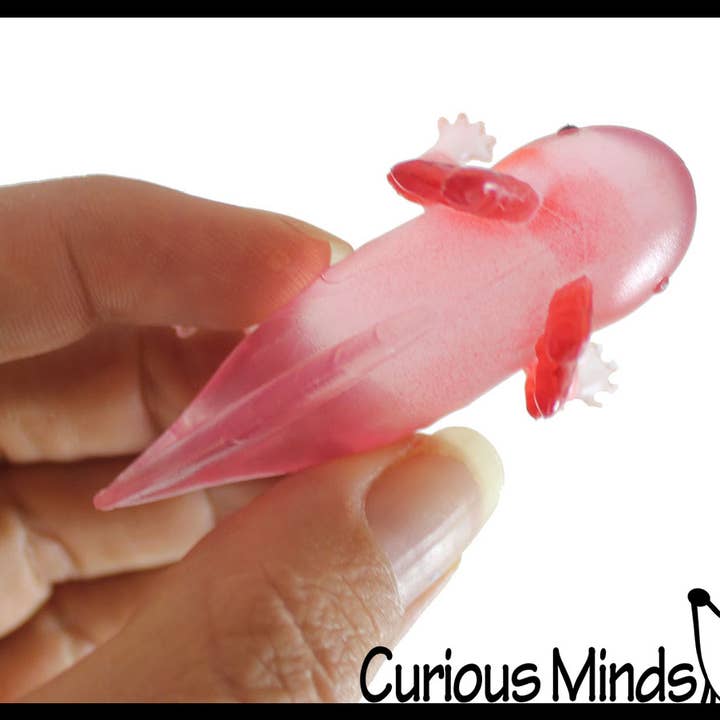 Curious Minds Toys - Wholesale Fidget Toy - Kids - 12 Realistic 2.5" Colorful Tiny Axolotls Figurines -Mini Toy