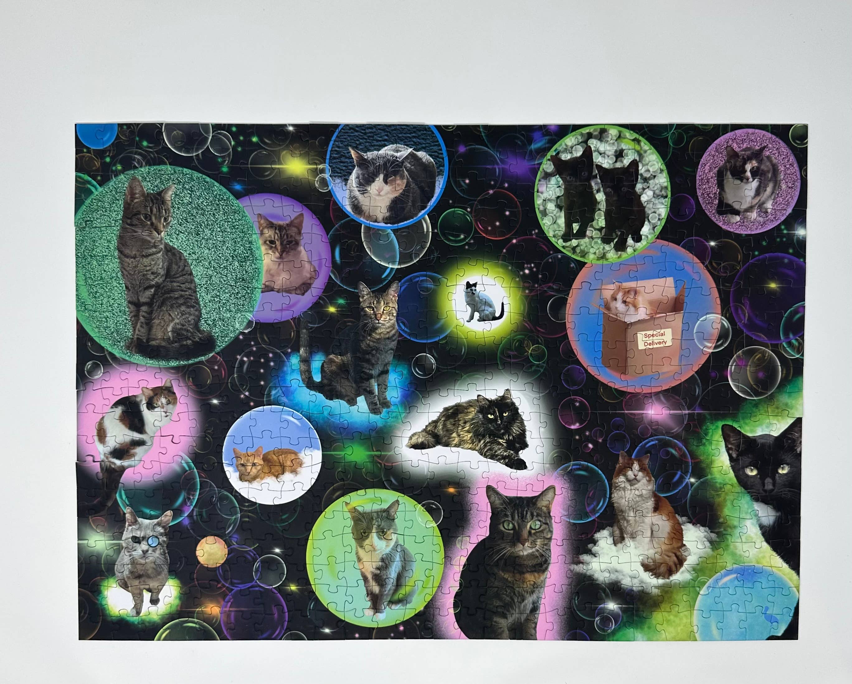 Mimsybird Puzzles – wholesale Puzzle – Adult – Bubble Cats 500-piece Premium Jigsaw Puzzle1