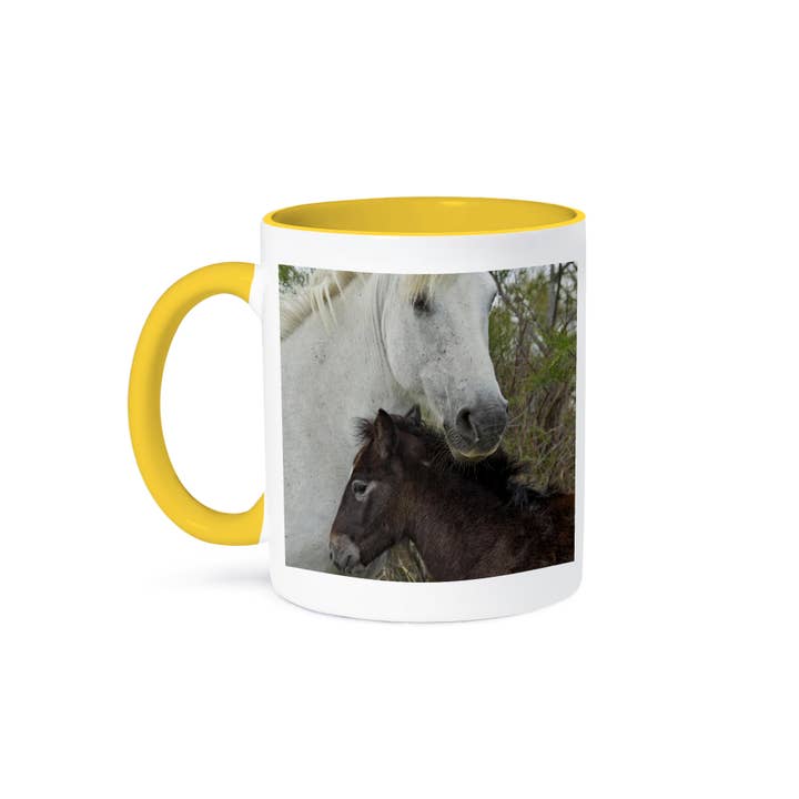 3dRose - Wholesale Coffee Mug - 3dRose, Camargue horse foal, southern France - EU09 AJE0017 - Adam Jones, Mug