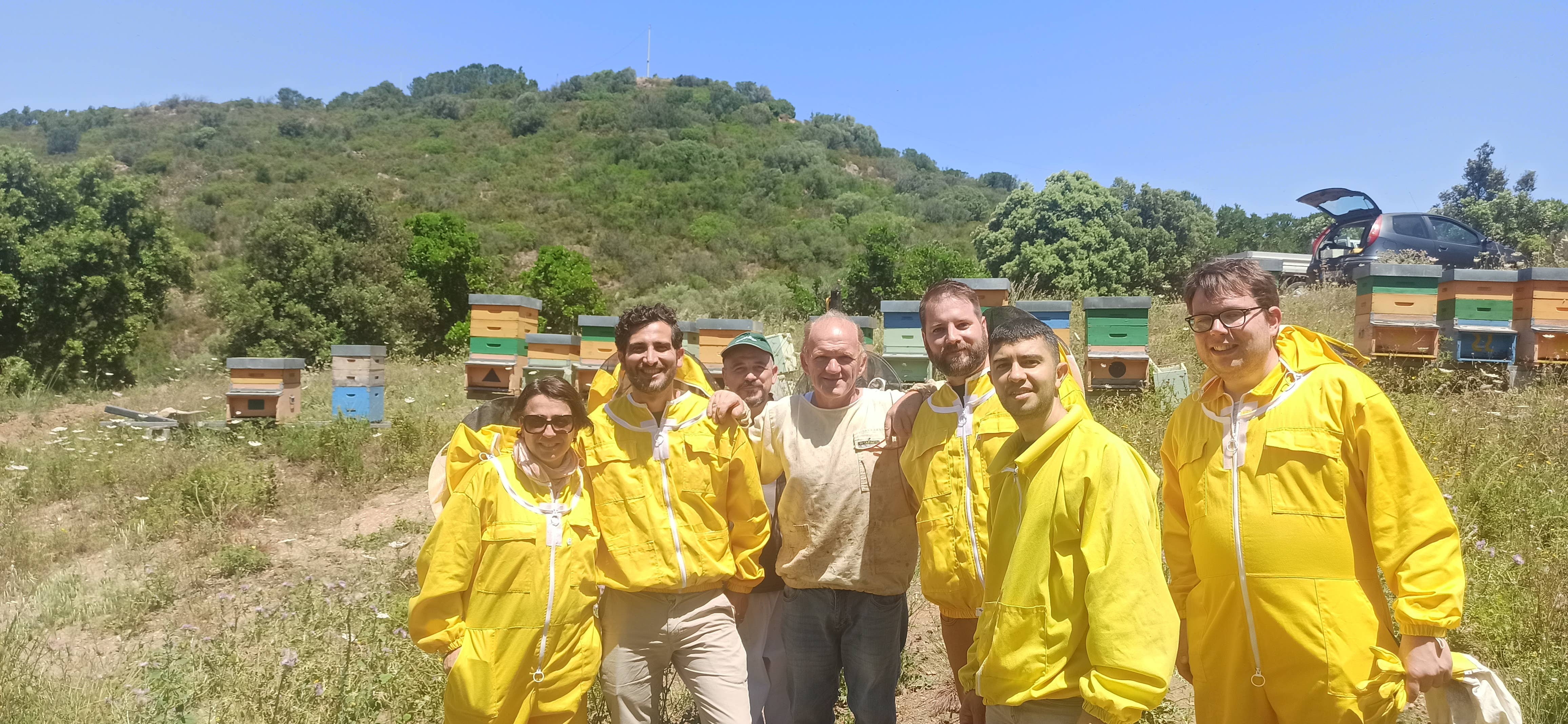 Asphodel - Wholesale Honey - Ocarittu - Eucalyptus Honey - Made in Italy 250g2