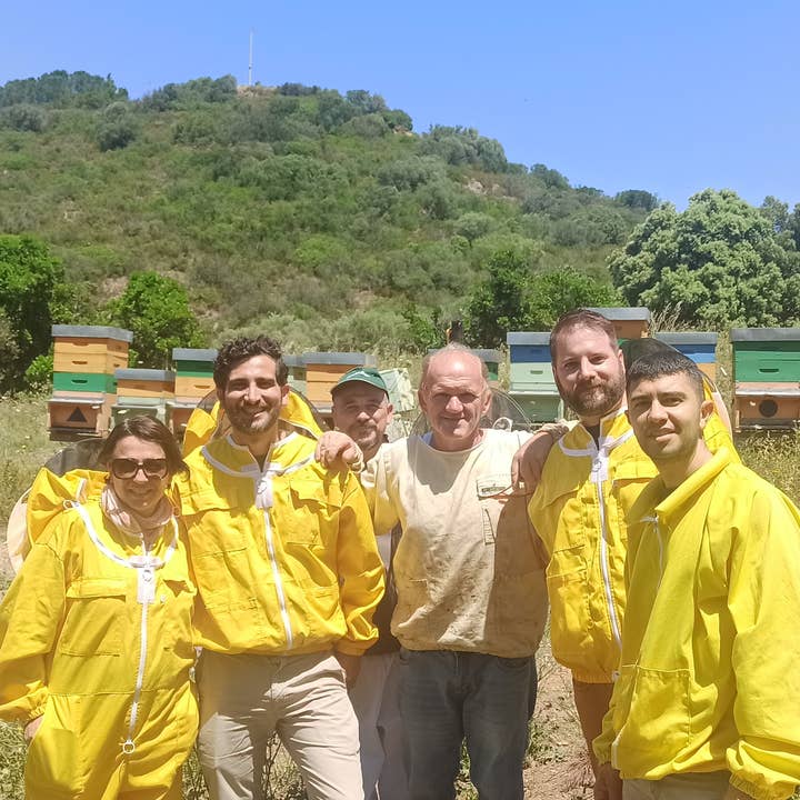 Asphodel – Großhandel Honig – Ocarittu - Eukalyptushonig - Hergestellt in Italien 250g2