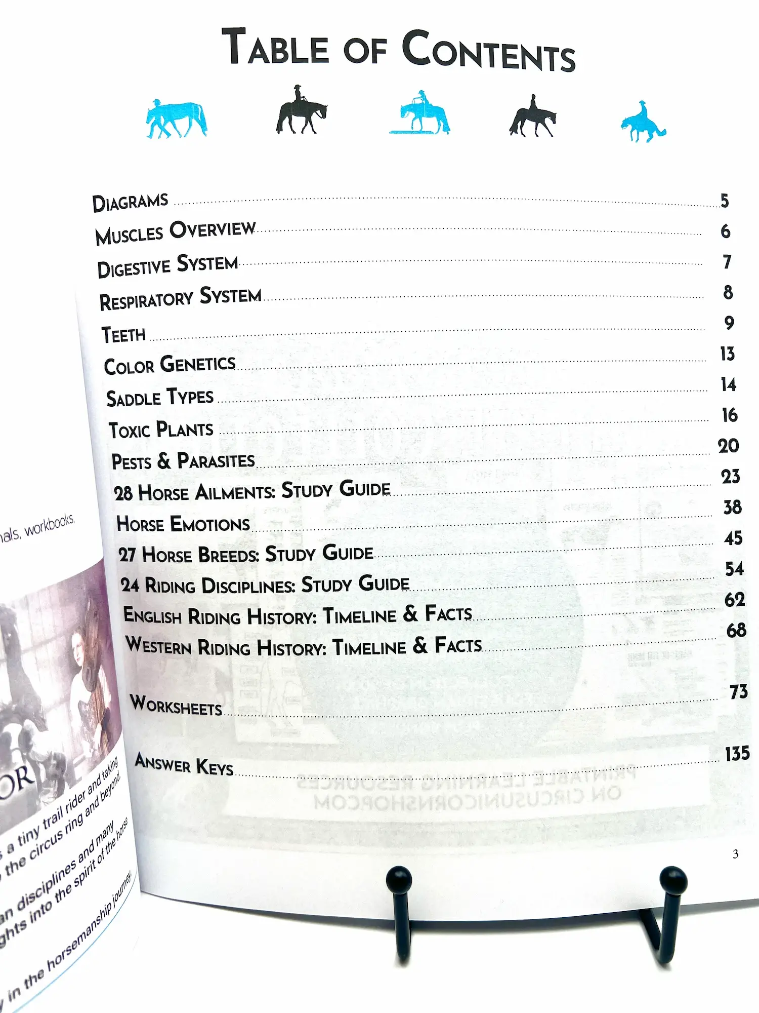 Circus Unicorn Shop - Wholesale Book - Kids - Horse Workbook Vol. II2