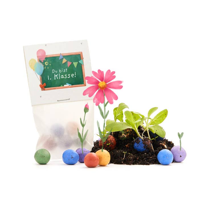 TDJ Stadtgärtner GmbH - Wholesale Plant Seeds - 5 flower marbles in a glassine bag - "You are 1st class" - school enrollment1