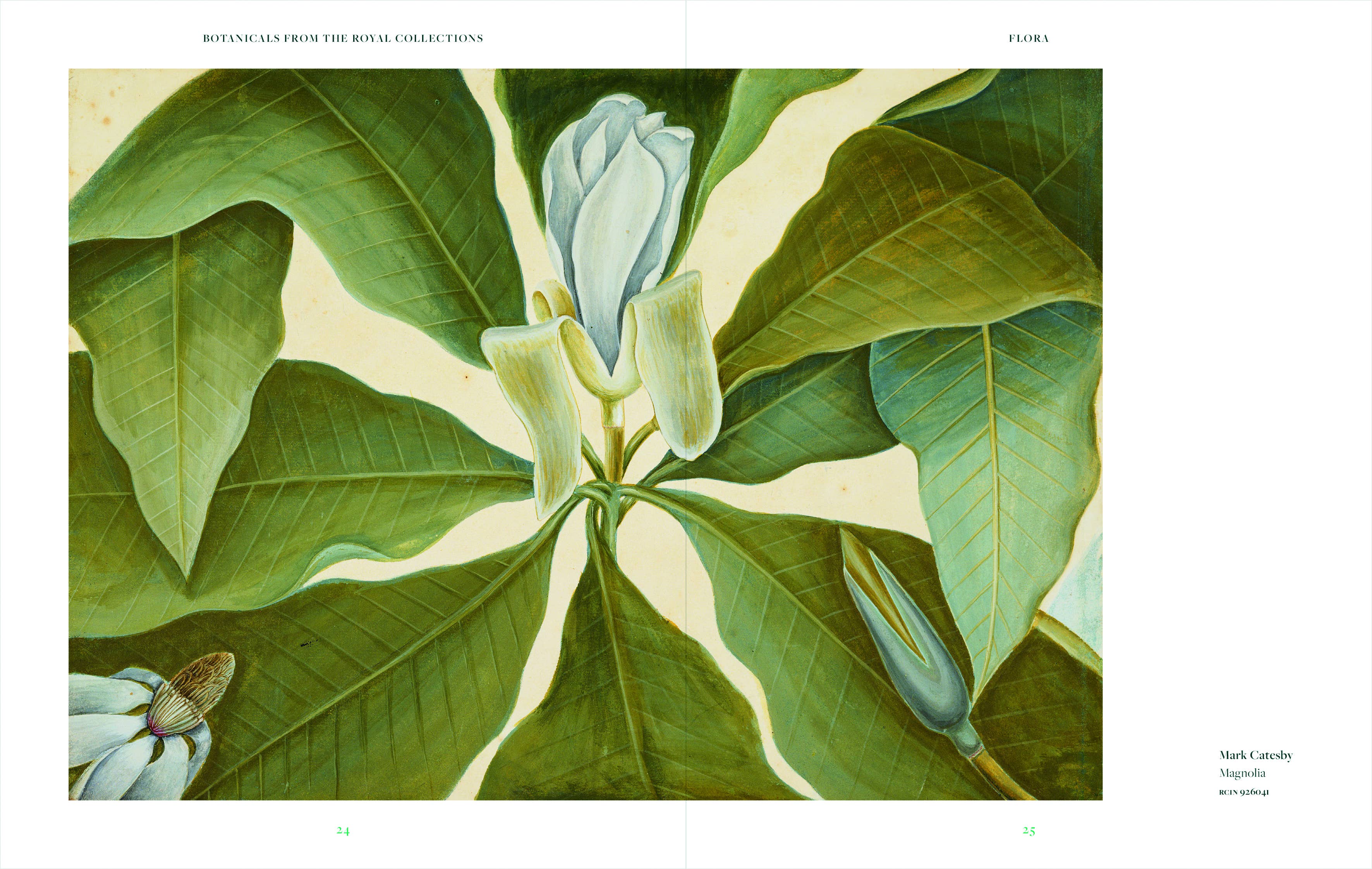 Thames and Hudson - Vente Nature et plein air - Botanicals1