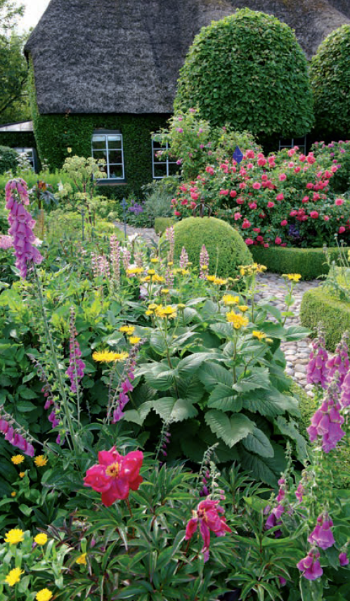 Callwey GmbH – Livro sobre casa e jardim por atacado – Plantas perenes no jardim.8