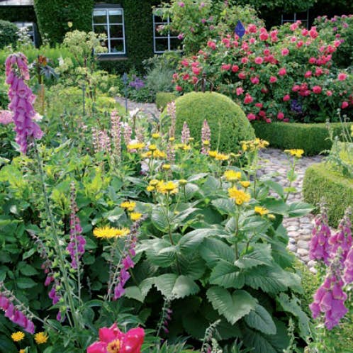 Callwey GmbH - Wholesale Home & Garden - Perennials in the Garden. Design Ideas for Ever-Blooming Beds8