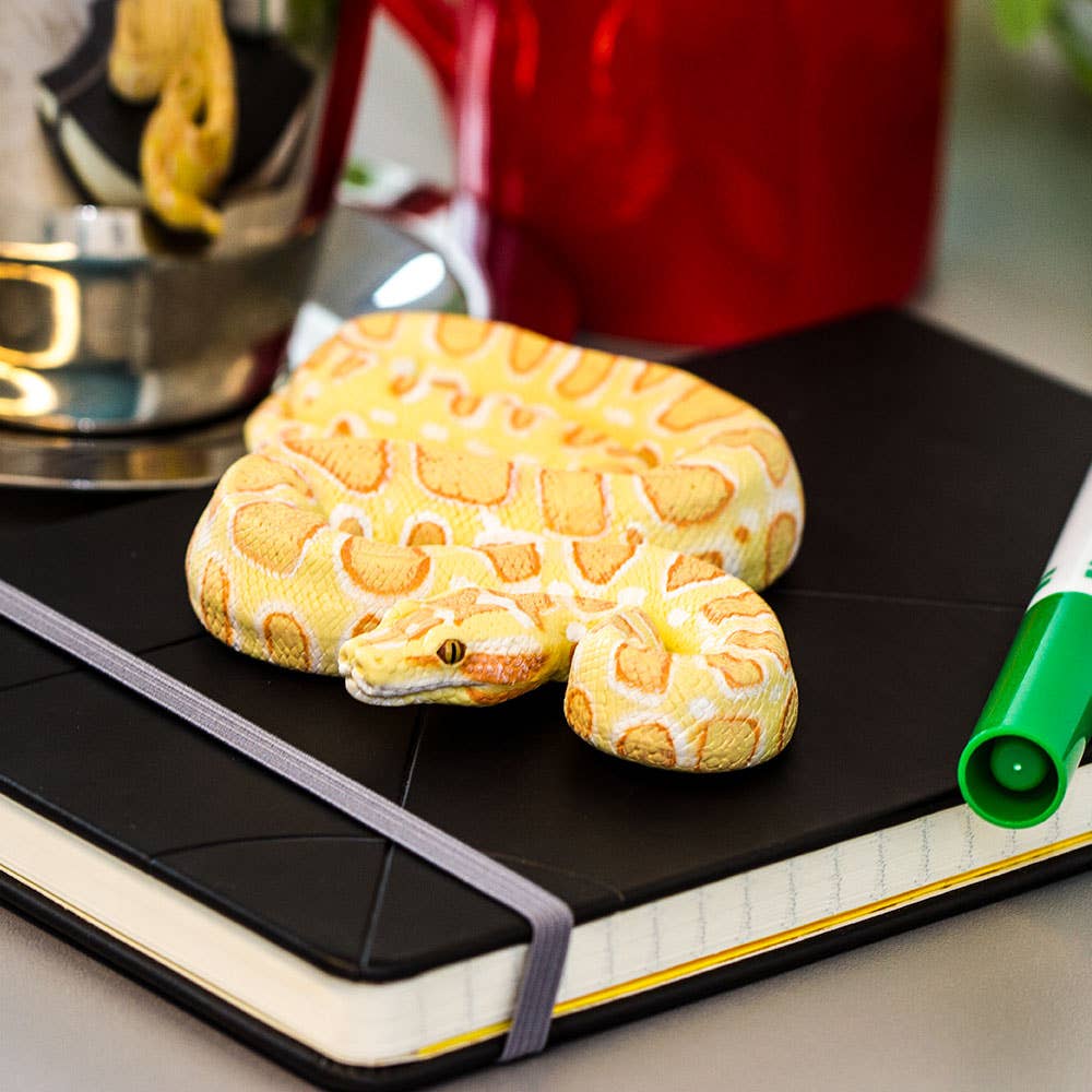 Safari Ltd. - Wholesale Decorative Figurine - Albino Burmese Python - 10025010