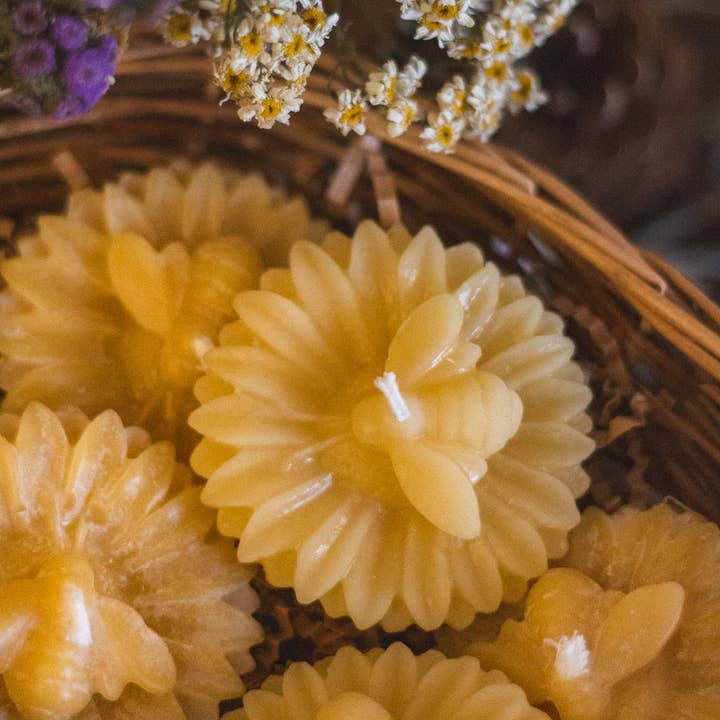 The Ramblin' Bee - Wholesale Novelty Candle - Bee and Flower Beeswax Candle