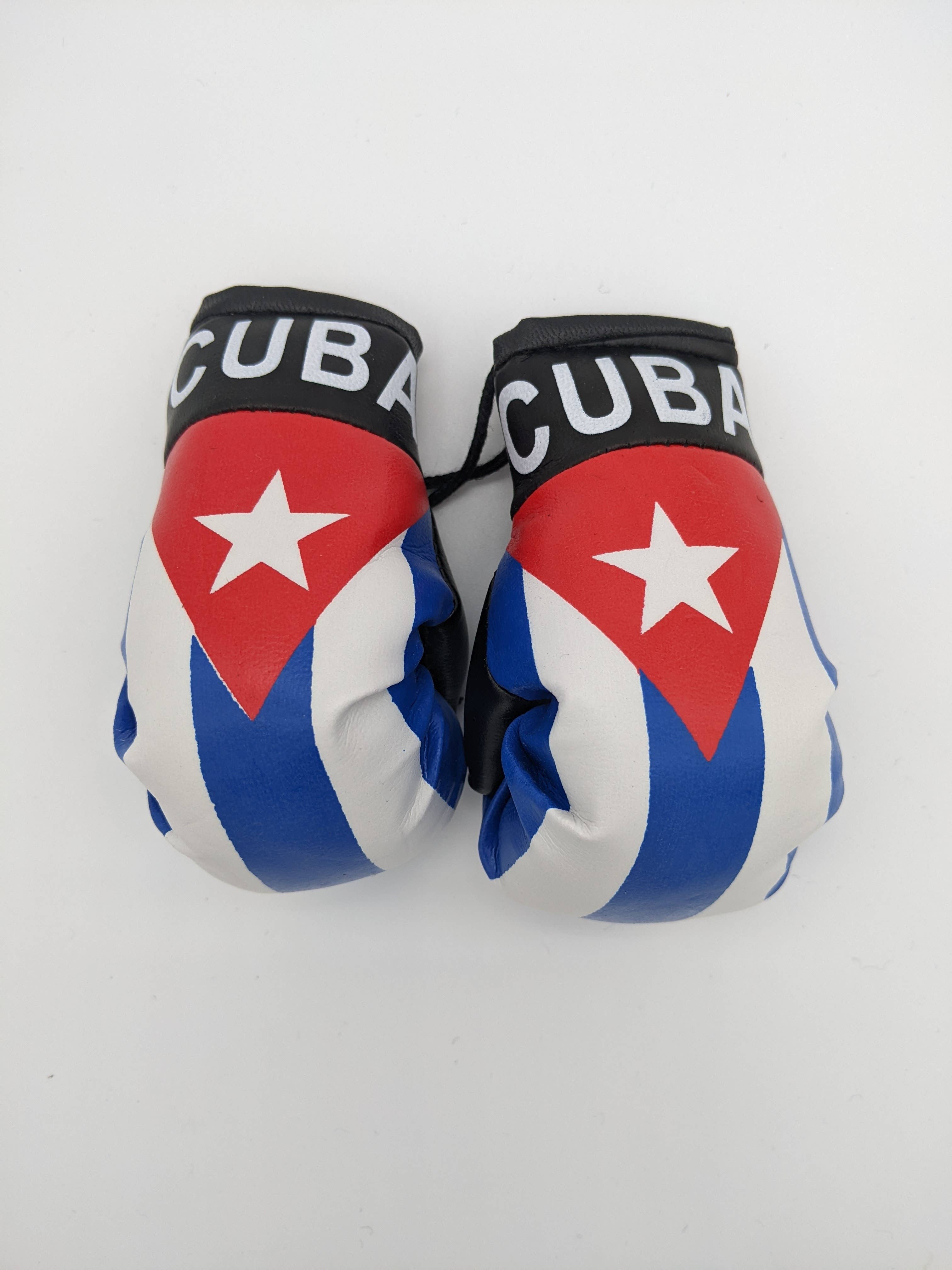 Flag Matrix Inc - Wholesale Sporting Accessories - International Boxing Gloves31