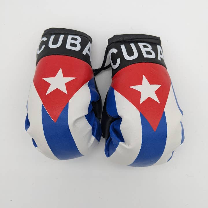Flag Matrix Inc - Wholesale Sporting Accessories - International Boxing Gloves31
