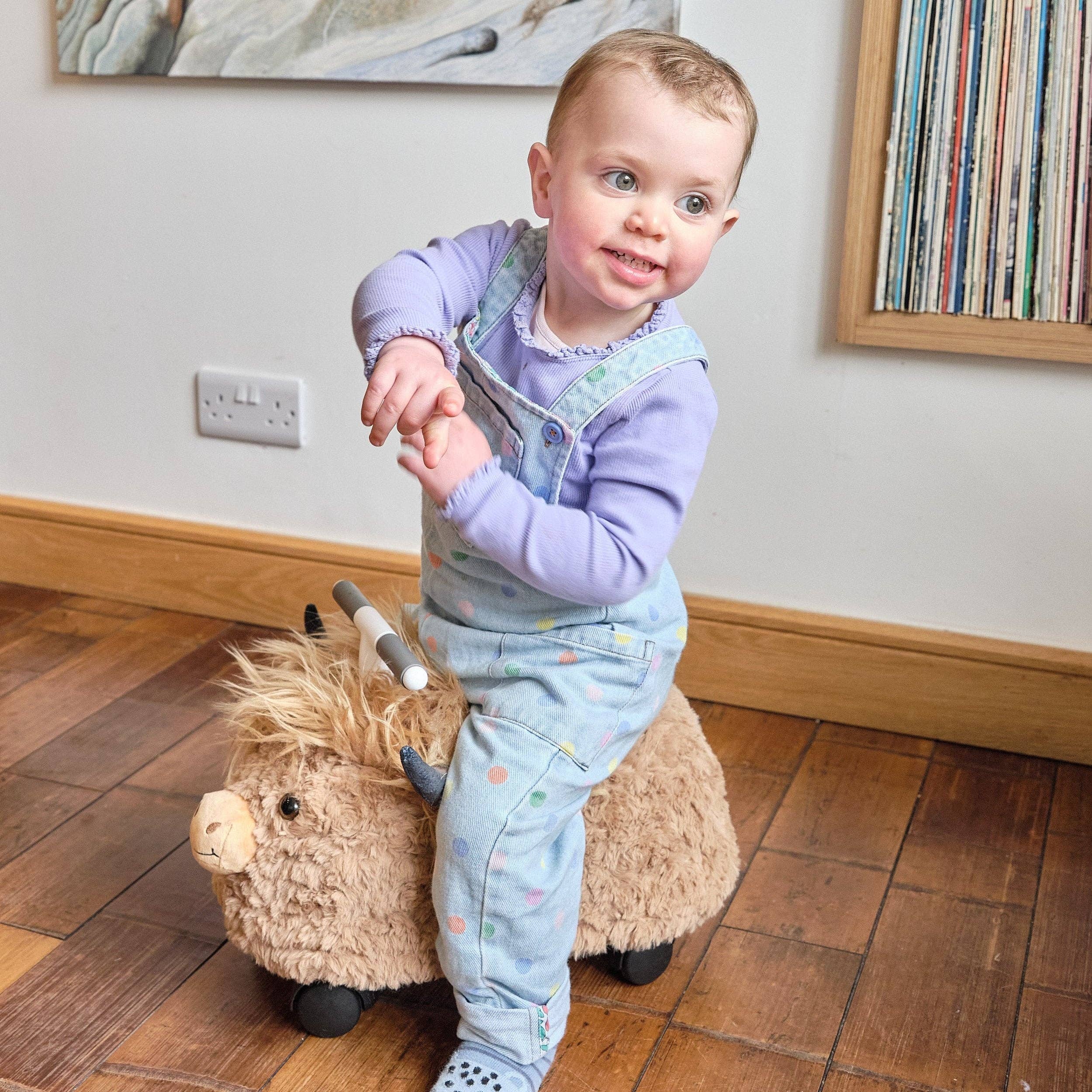 Prince Lionheart - Wholesale Inflatable Toy - Kids & Baby - Prince Lionheart Hairies Ride-On Inflatable Toy - Fun and Safe Bouncy Ride for Kids - Highland Cow: Scotch6