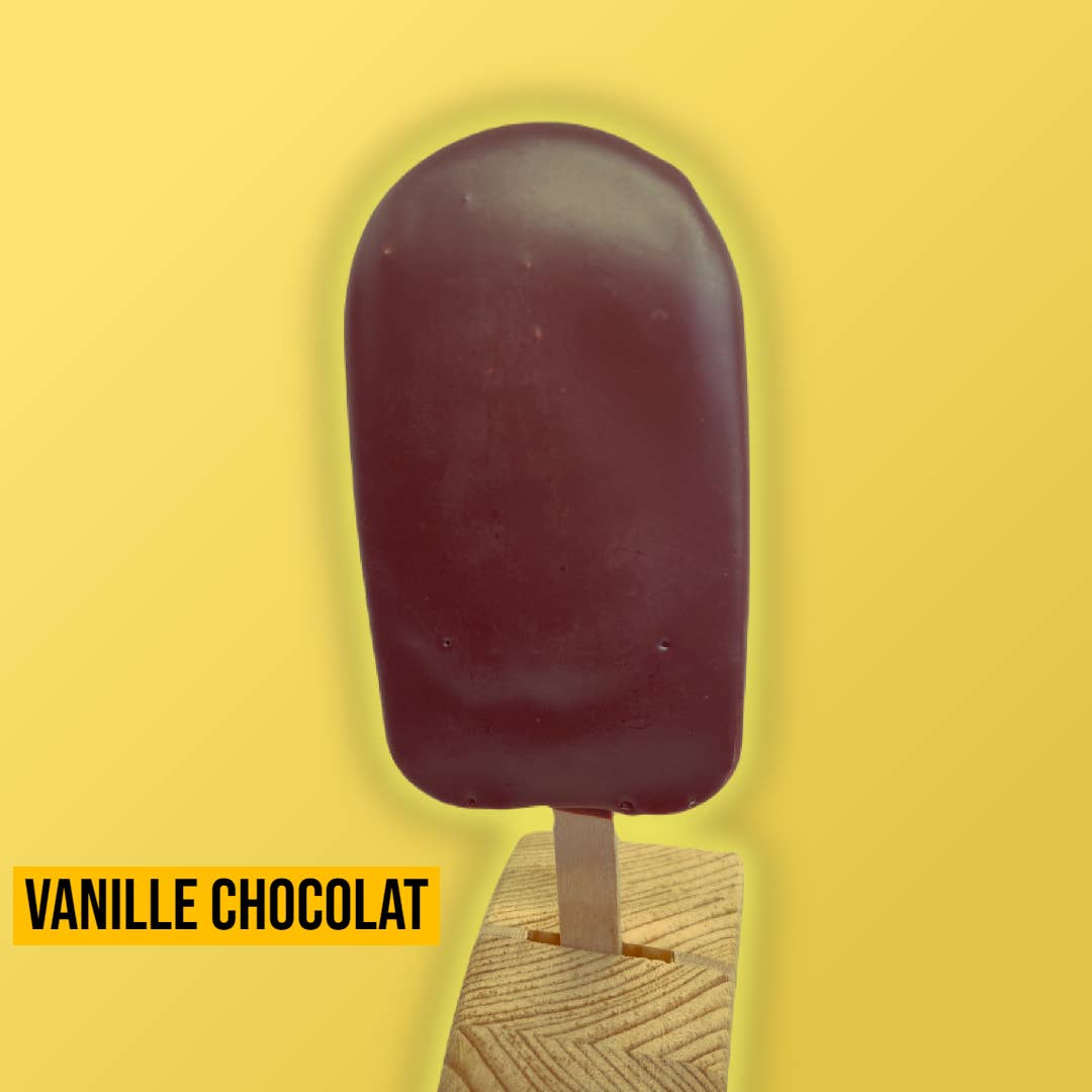 Banana Square - Wholesale Ice Cream/Sorbet - Vanilla Chocolate Popsicle Stick - Organic and vegan