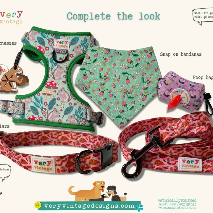 Very Vintage Designs - Wholesale Pet Collar - Dog - Pink Western Dog Collar – Cactus Cowgirl Lightweight Collar6