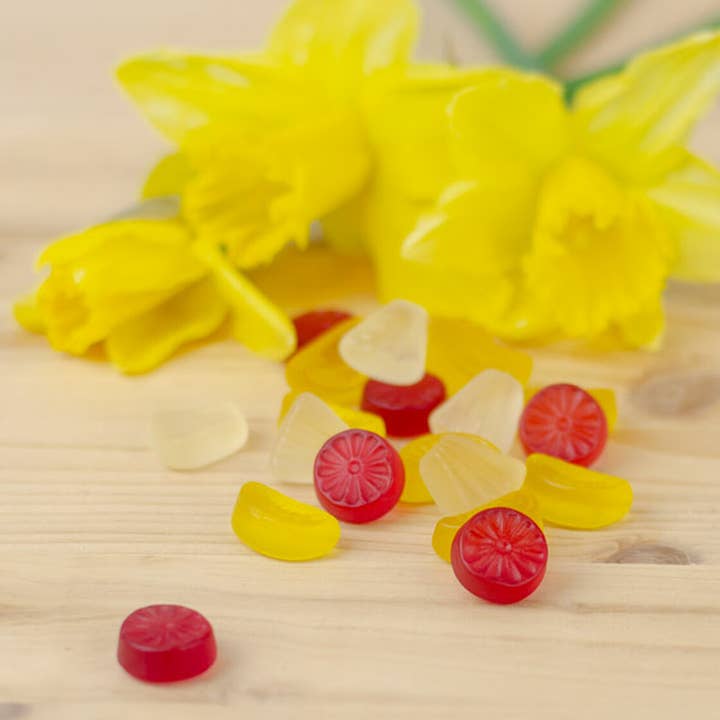 Der Zuckerbäcker - Vendita all'ingrosso Caramelle gommose - Ciondolo di buona Pasqua, caramelle vegane, regalo2