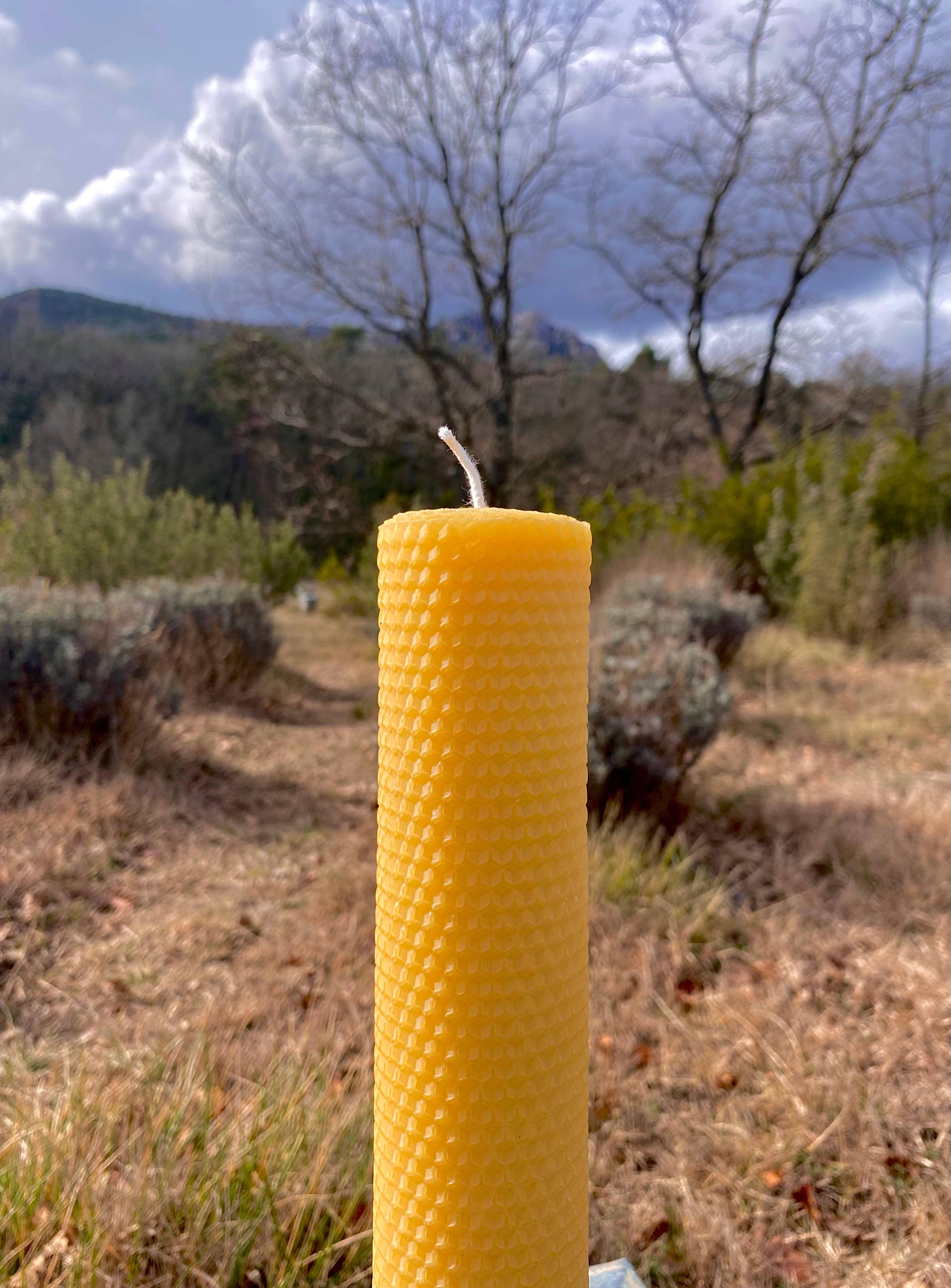 La Manufacture du Miel - Wholesale Novelty Candle - Noon "70H" - Beeswax candle (approximately 300g)2