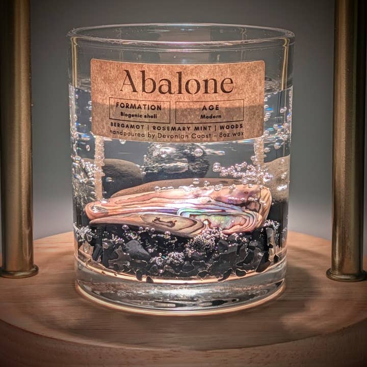 Abalone Shell Treasure Gel Candle | Museum Gift for wholesale by Devonian Coast