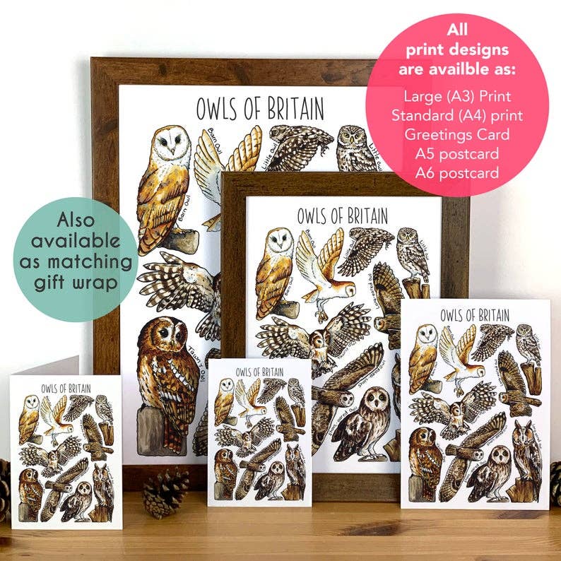 Alexia Claire Ltd – wholesale Postcard – Owls of Britain Art Blank Postcard5