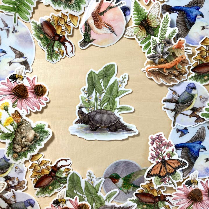Lucinda Rowe Art - Wholesale Sticker - Vinyl Sticker - Snapping Turtle with Common Arrowhead