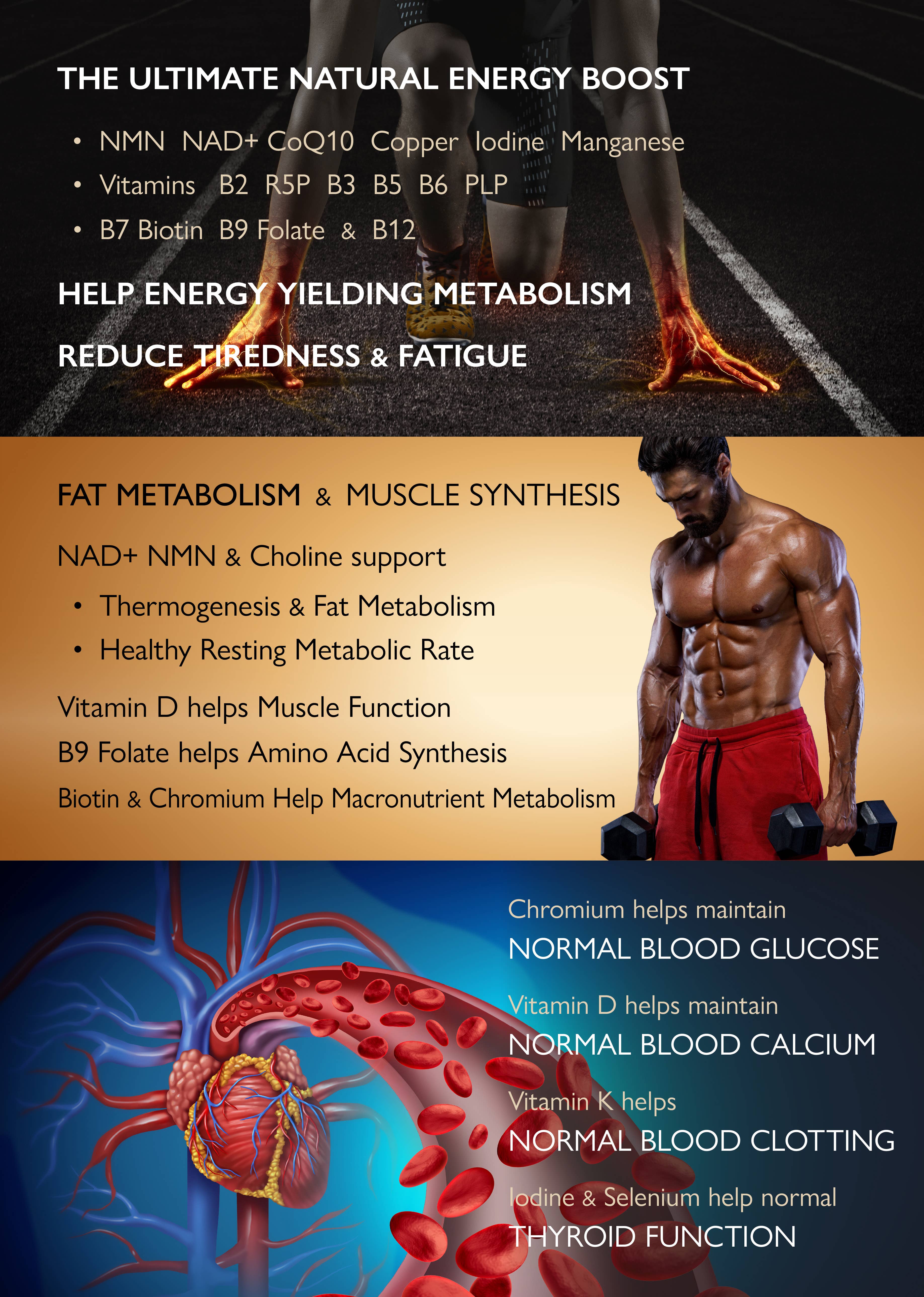 BioTech Life Sciences - Venta al por mayor Suplementos/vitaminas para beber - Cápsulas de NMN Resveratrol CoQ10 vitaminas de Té Verde: Energise-X5