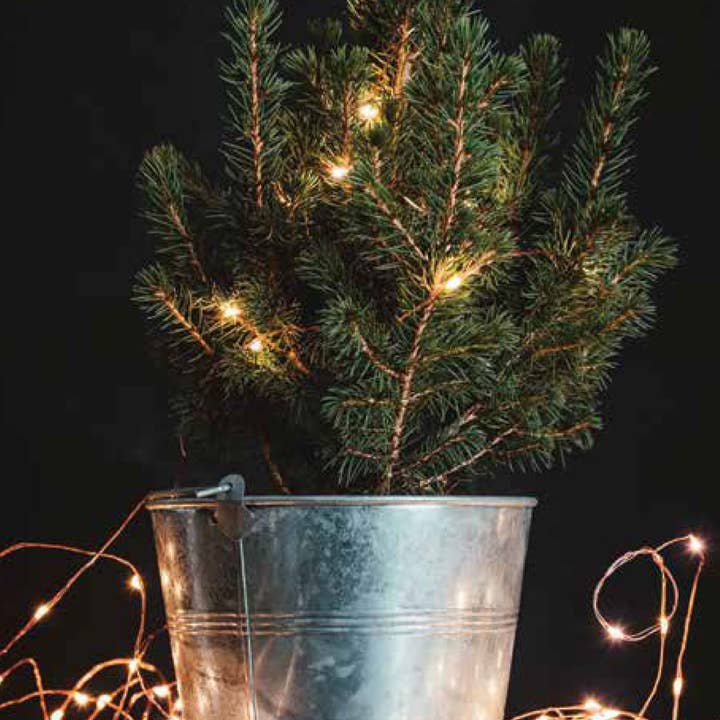 DM Merchandising - Wholesale String Lights - Lumin Essence Copper Wire Mini Lights