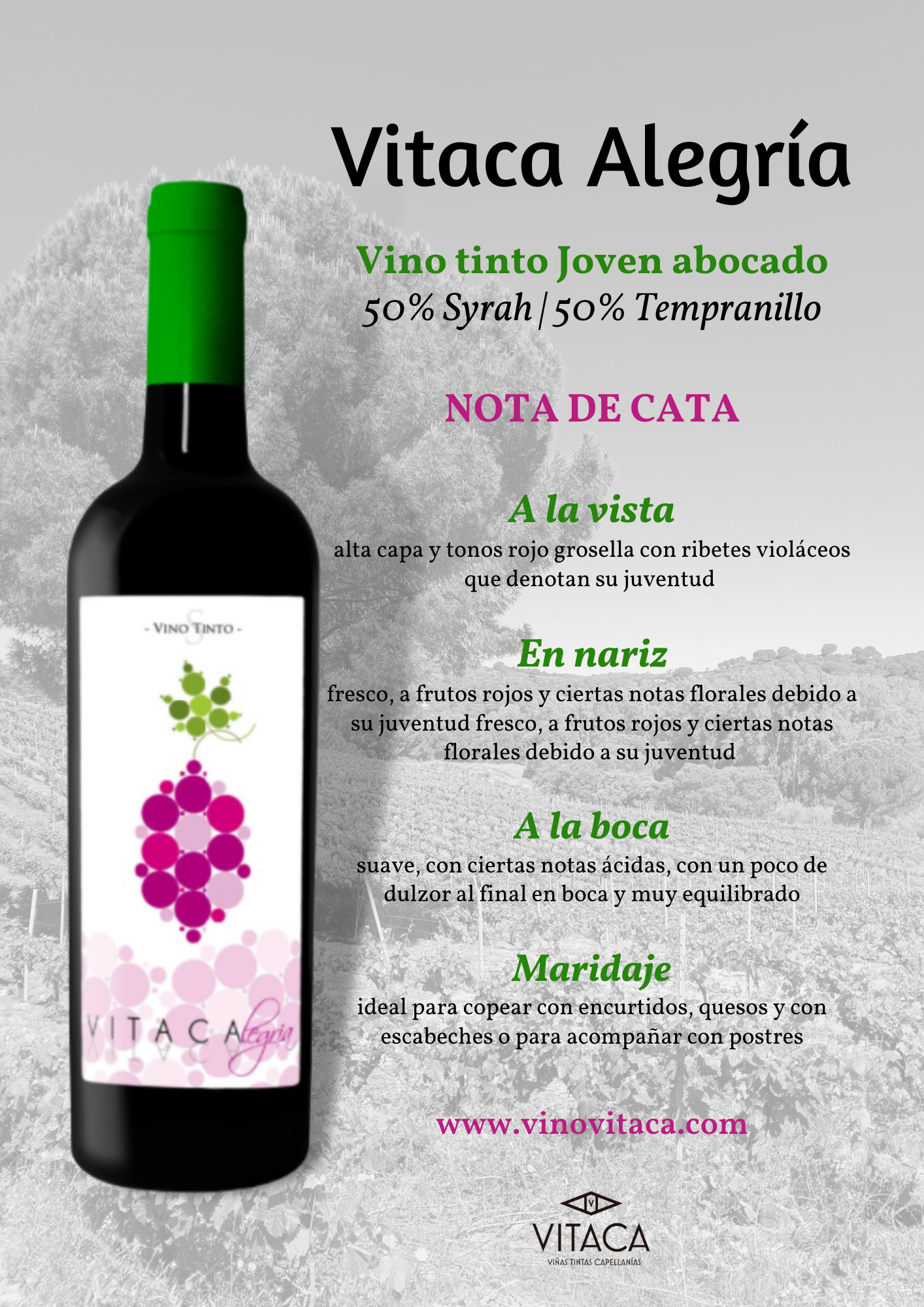 VINO VITACA - Wholesale Champagne/Sparkling Wine - VITACA ALEGRIA2