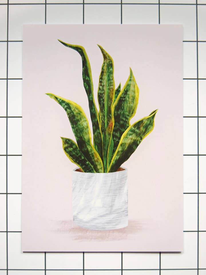 Stampa artistica opaca Snake Plant/A4 + A3/350 gsm per la vendita all'ingrosso da parte di Freya Snow