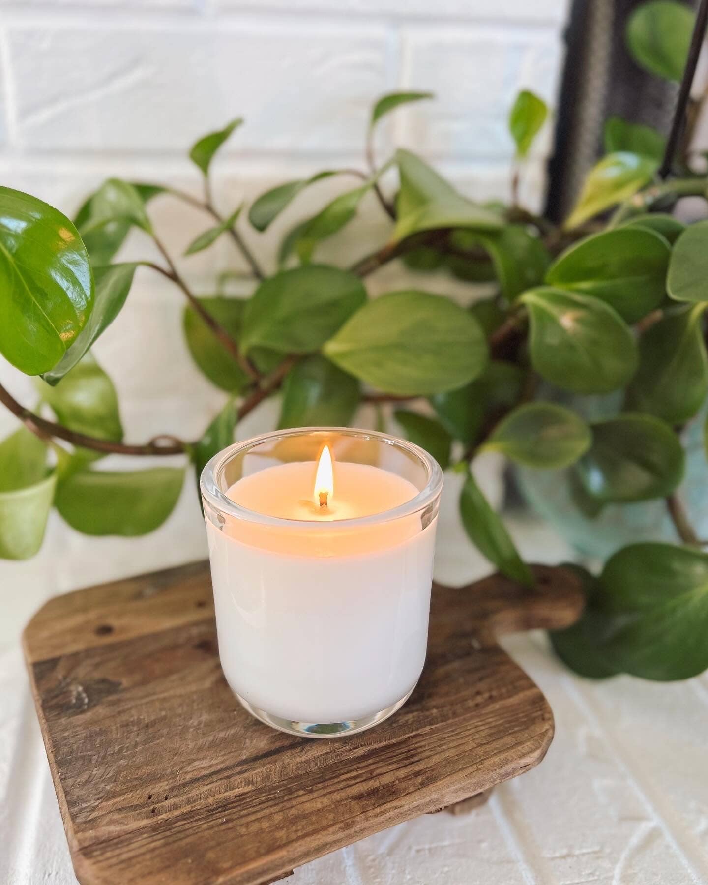 Illuminate Space - Wholesale Jar/Filled Candle - It's too peopley outside Soy Candle, Large4