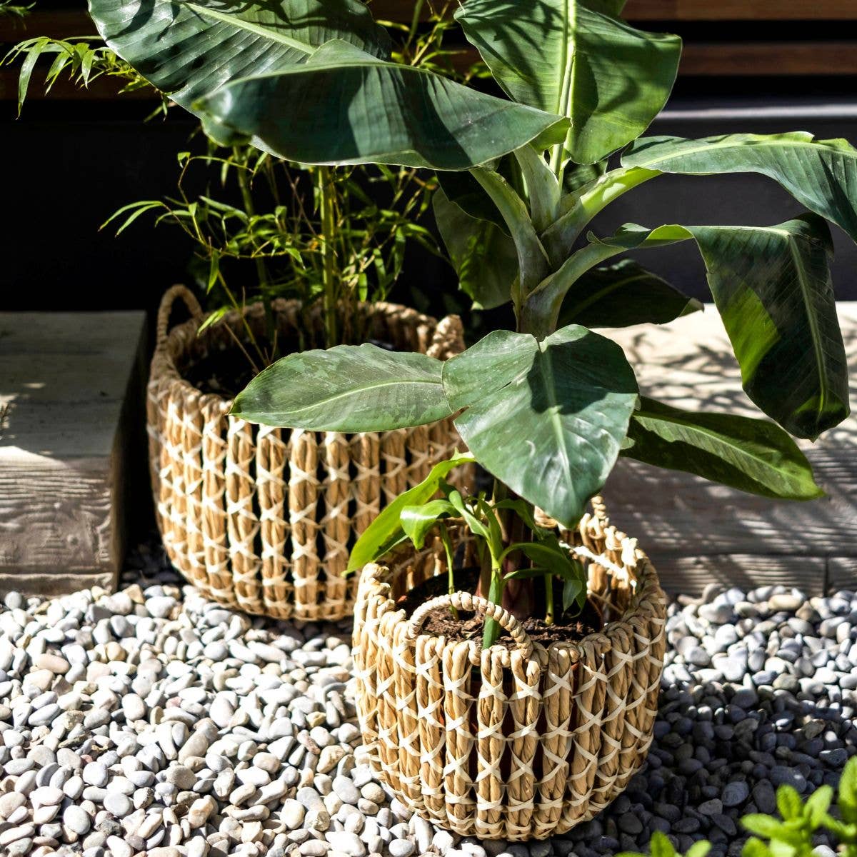 Andrea House - Wholesale Plant Pot - Set of 2 natural fiber baskets0