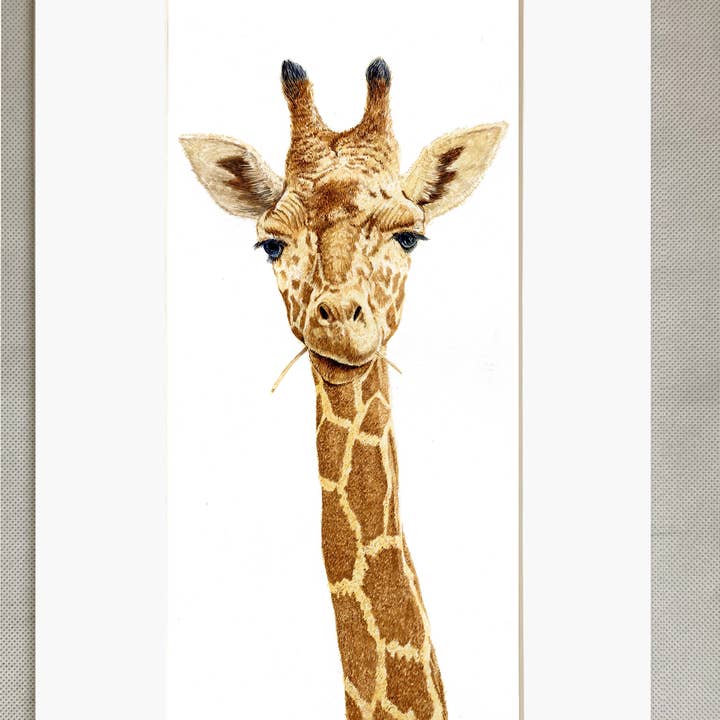 Estampa de girafa por atacado de Robinson Collection