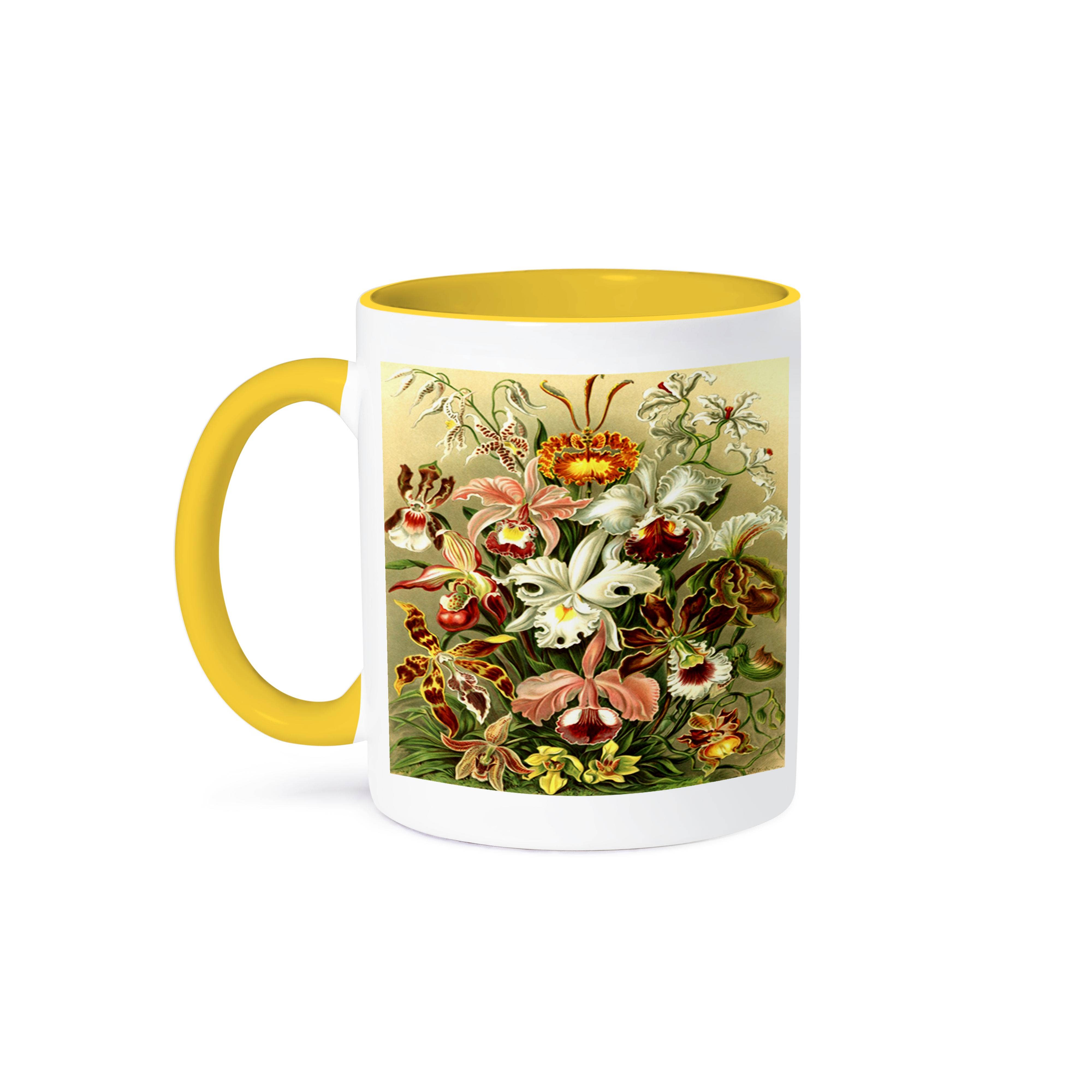 3dRose - Wholesale Coffee Mug - 3dRose, German Biologist Early Painting Of Orchids, Mug0