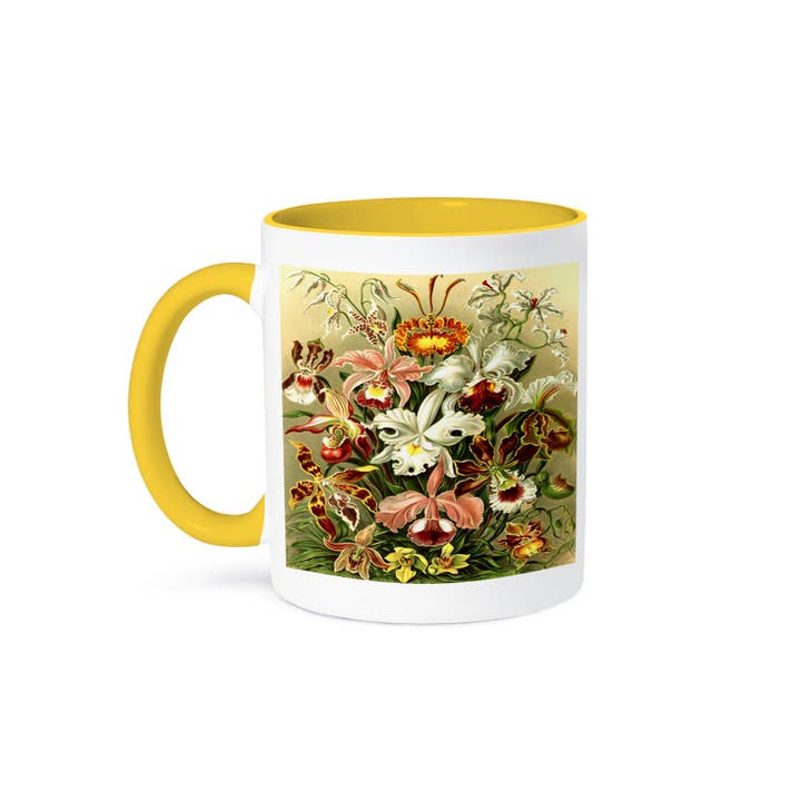 3dRose - Wholesale Coffee Mug - 3dRose, German Biologist Early Painting Of Orchids, Mug