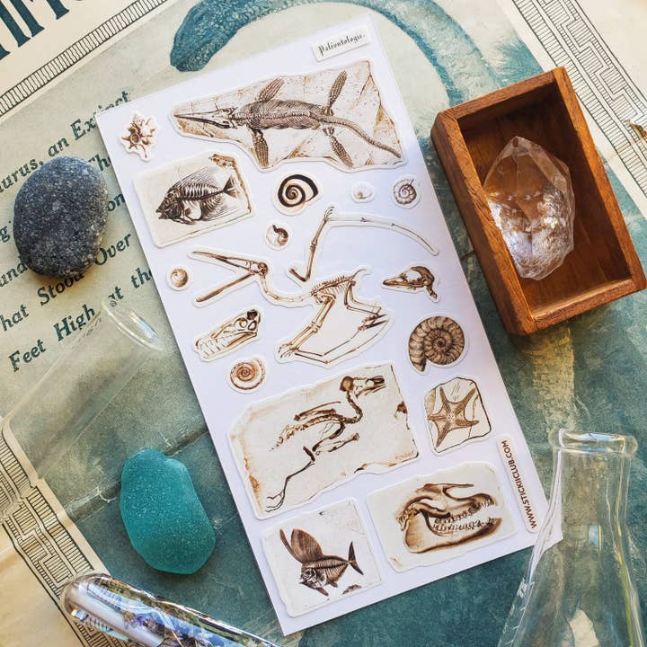 STICKII - Wholesale Sticker - Fascinating Fossils Sticker Sheet